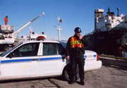 Commercial Security